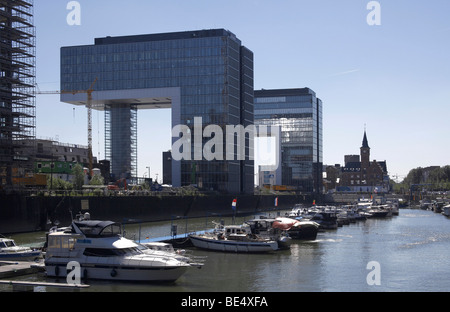 Maisons de grue et vieux Port Authority dans le port Rheinauhafen, Cologne, Rhénanie du Nord-Westphalie, Allemagne, Europe, Banque D'Images