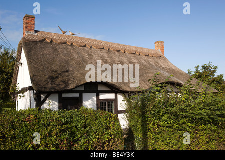 Royaume-uni, Angleterre, Staffordshire, Stafford, Shallowford, Izaak Walton Cottage Banque D'Images