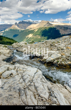 Montagnes de glace Waputik du sentier Iceline Parc national Yoho, Colombie-Britannique Canada Banque D'Images