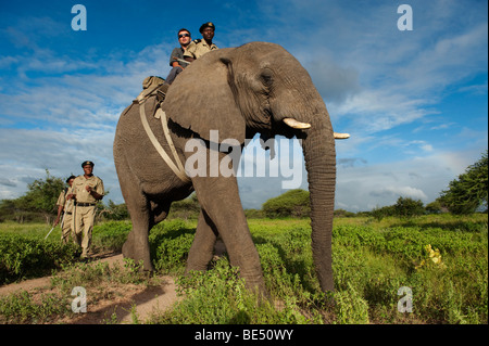 Safari à dos d'éléphant, Réserve Kapama Game, Parc National Kruger, Afrique du Sud Banque D'Images