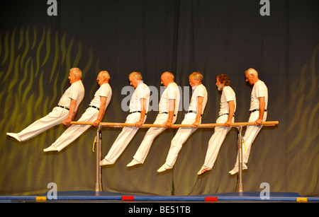 Afficher la matinee des meilleurs, Internationales Deutsches la gymnastique, Gymnastique International Festival 2009, festival hall, Fra Banque D'Images