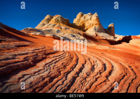 Les crêtes de grès à White Pocket à Vermilion Cliffs National Monument, Arizona Banque D'Images