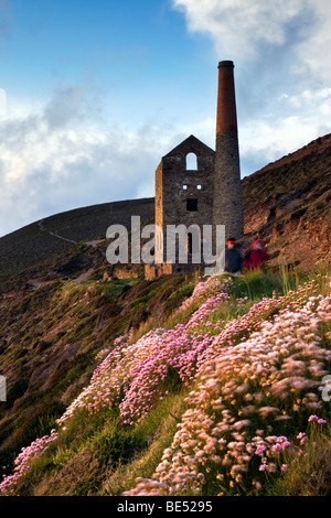 Papule coates ; mine ; Cornwall st agnes Banque D'Images