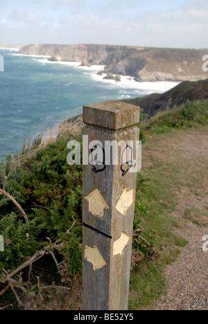 Sentier d'Acorn signpost south west coast path sentier national près de St Agnes, North Cornwall UK Banque D'Images