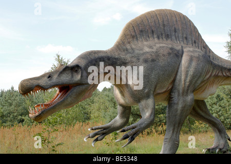 Parc préhistorique, Spinosaurus, réplique taille réelle, 2009 Banque D'Images