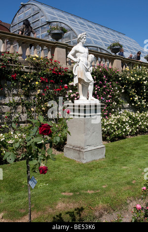 Statue dans le jardin de roses de l'île de Mainau, le lac de Constance, dans le comté de Konstanz, Bade-Wurtemberg, Allemagne, Europe Banque D'Images