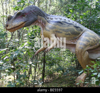 Ceratosauria,parc préhistorique, Nowiny), Pologne, 2009, réplique taille réelle Banque D'Images