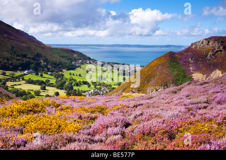 Sychnant pass près de Conwy Wales est un endroit de beauté locaux admiré par les touristes et les habitants de la richesse de la bruyère et l'ajonc. Banque D'Images