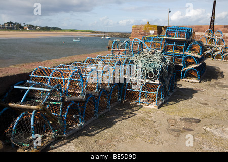 Des casiers à homard sur le queyside à North Berwick Harbour Banque D'Images