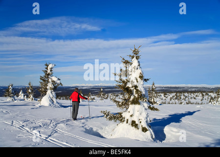 Les skieurs de fond à Lillehammer, Norvège, Europe Banque D'Images