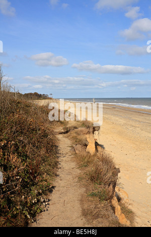 L'érosion de la côte entre Covehithe et Benacre près de Southwold, Suffolk, Angleterre, Royaume-Uni. Banque D'Images