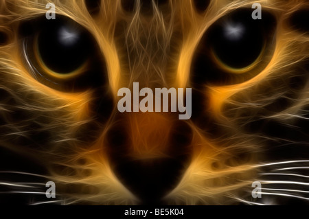 Portrait d'un chat (illustration numérique). Portrait de chat (dessin assisté par ordinateur). Banque D'Images