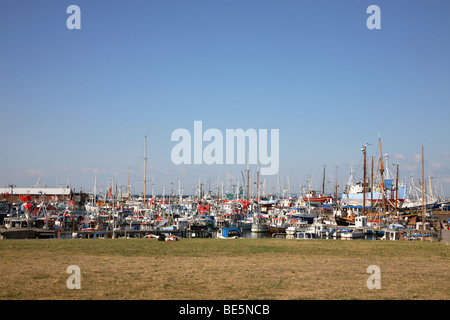 Le port de pêche et de plaisance de Gilleleje sur l'extrême nord de la Nouvelle-Zélande haut de au Danemark un soir d'été. Banque D'Images