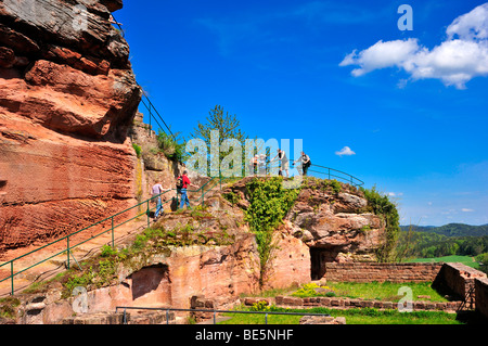 Ruines de Drachenfels, Busenberg mountain, Naturpark Pfaelzerwald nature reserve, Palatinat, Rhénanie-Palatinat, Allemagne, Europe Banque D'Images