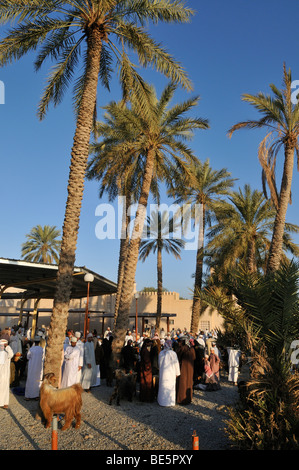 Les hommes en costume traditionnel omanais, le bétail ou les animaux marché à Nizwa, Hajar al Gharbi, Montagnes, région Dakhliyah Al Sultanat Banque D'Images