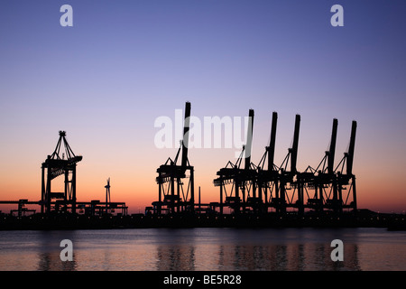 Container Terminal Altenwerder, grues, portiques, heure bleue, port, Hambourg, Allemagne, Europe Banque D'Images