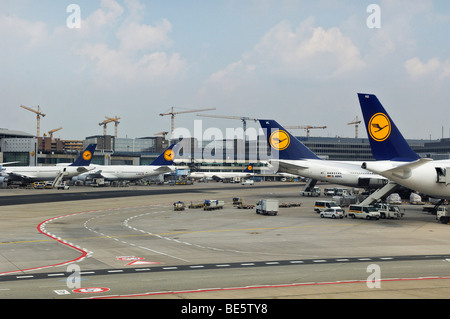 Plusieurs avions de la Lufthansa, l'aéroport de Francfort, Hesse, Germany, Europe Banque D'Images