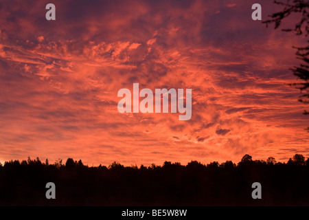 Ciel rouge le matin. L'Aube rouge et orange ciel couleurs mettent en évidence les tendances dans les nuages sur l'ouest du Québec. Banque D'Images