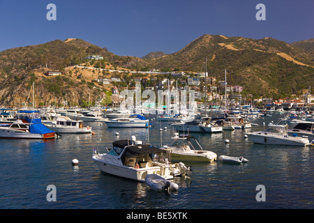 AVALON, CA, USA - Bateaux de plaisance dans la région de Harbour, île de Santa Catalina Banque D'Images