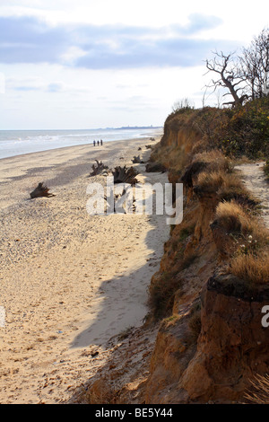 L'érosion de la côte entre Covehithe et Benacre près de Southwold, Suffolk, Angleterre, Royaume-Uni. Banque D'Images