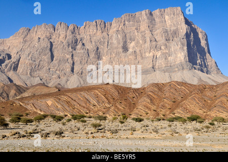 L'oued à sec lit en face de Jebel, Jabal Misht, Hajar al Gharbi Montagnes, Al Dhahirah région, Sultanat d'Oman, l'Arabie, Milieu E Banque D'Images