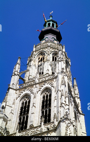 Onze Lieve Vrouwe Kerk, Eglise Notre Dame, Grote Kerk, une église gothique sur Grote Markt, Breda, Province de Drenthe Banque D'Images