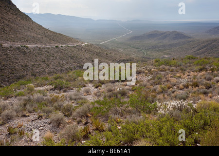 Paysage désertique, Coahuila, le nord du Mexique Banque D'Images