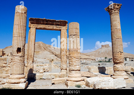 Ruines du site d'excavation de Palmyra, Syrie, Asie, Tadmur Banque D'Images