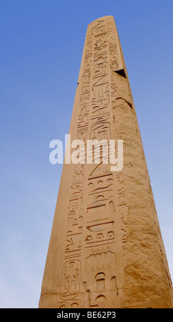 Obélisque de pharaon Hatshepsout, hiéroglyphes, Temple de Karnak, Louxor, Egypte, Afrique du Sud Banque D'Images