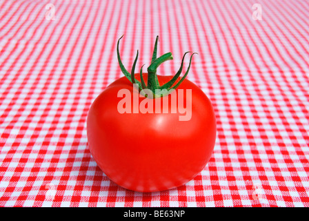 Seule la tomate vigne sur nappe à carreaux blancs et rouges Banque D'Images