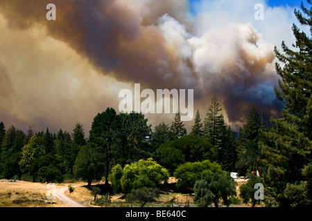 California wildfire Lockheed dans Santa Cruz Mountains. CALFIRE/CDF - Californie Département des forêts et la protection contre les incendies Banque D'Images