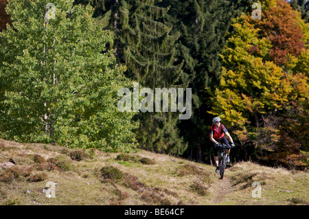 Mountainbiker sur Gaisberg, Rettenbach, Tyrol, Autriche, Europe Banque D'Images