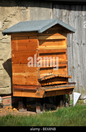 Type de ruche en bois traditionnel national Banque D'Images