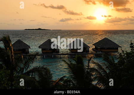 Bungalows sur l'eau, de palmiers, d'horizon et le coucher du soleil, les Vadoo, Island, South Male Atoll, Maldives, archipel, de l'Océan Indien, l'Asie Banque D'Images