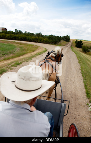 Un cheval tirant une charrette à travers un beau paysage de la Saskatchewan Banque D'Images