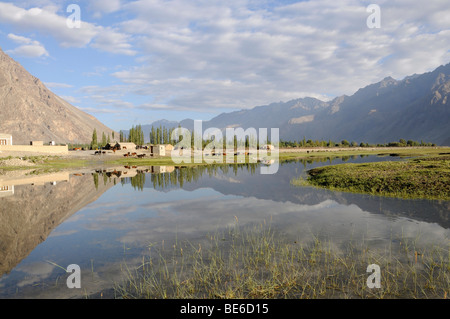 Oasis , Hundar, zone inondable du fleuves Shyok River en face de l'oasis, utilisées comme pâturages communaux, la Vallée de Nubra, Ladakh Banque D'Images