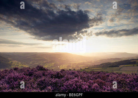 Heather fleurs des landes et coucher de soleil sur la vallée de l'espoir dans le "Peak District" de Derbyshire, Angleterre Banque D'Images