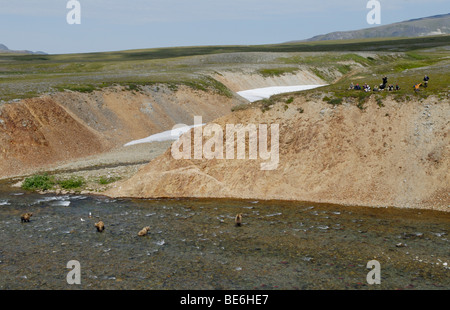 L'observation des ours, Katmai National Park, Alaska Banque D'Images