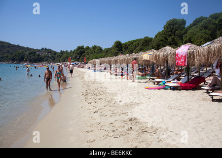 Célèbre plage de l'île de Skiathos Koukounaries,nommé Banque D'Images