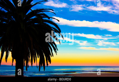 Un 'Sunset' sur l 'Océan Pacifique' avec la silhouette d'un palmier à Malibu, 'California'. Banque D'Images