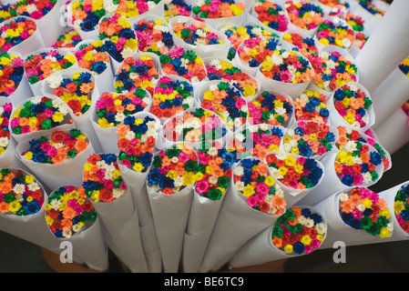Des bouquets de fleurs colorés aux couleurs vives Banque D'Images