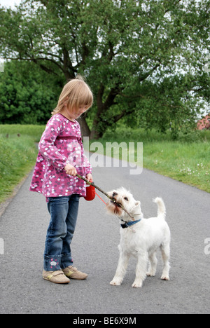 Fille, 5, jouant fetch-le-stick avec un schnauzer nain Banque D'Images