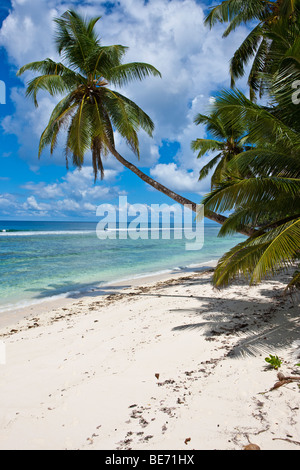 Plage de Lonely à Anse Baleine, l'île de Mahé, Seychelles, océan Indien, Afrique Banque D'Images