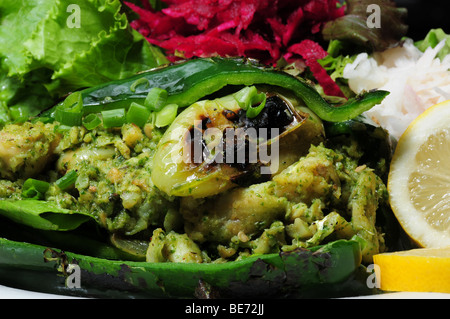 Relleno poblano de Bacalau. Cafe Poca Cosa, Tucson, Arizona, USA, propose une cuisine mexicaine. Banque D'Images