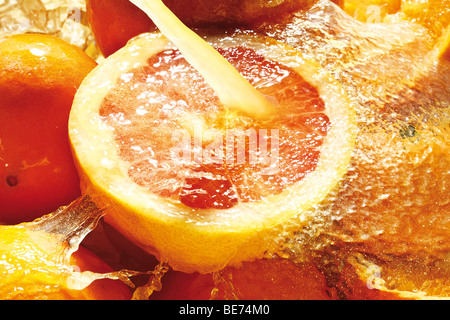 Les agrumes sous jet de jus, les oranges, les citrons Banque D'Images