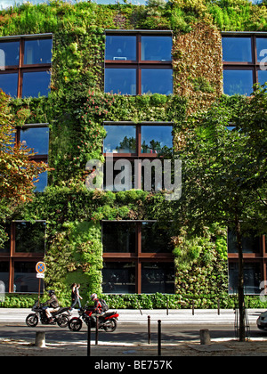 Le jardin vertical de Patrick Blanc,Musée du quai Branly, Paris, France Banque D'Images