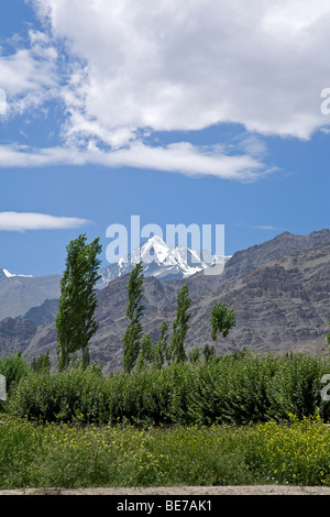 Stok Kangri (6123m). Ladakh. L'Inde Banque D'Images