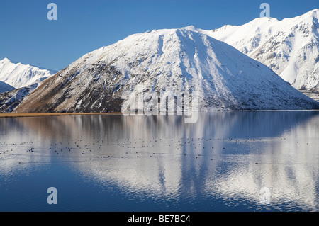 Sugarloaf Mt reflétée dans le lac Héron, Canterbury, île du Sud, Nouvelle-Zélande Banque D'Images