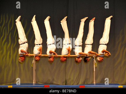 Afficher la matinee des meilleurs, Internationales Deutsches la gymnastique, Gymnastique International Festival 2009, festival hall, Fra Banque D'Images