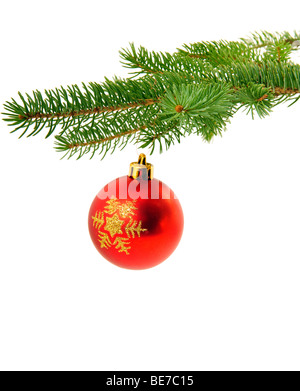 Décoration de Noël sur le sapin isolé sur fond blanc de la direction générale Banque D'Images